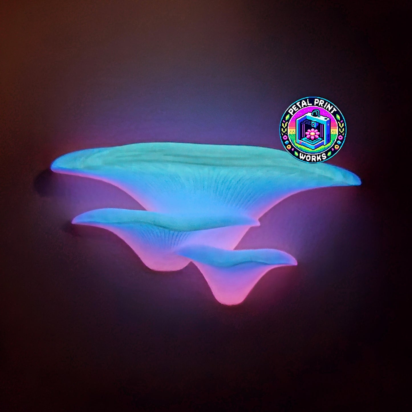 Oyster Mushroom Shelf